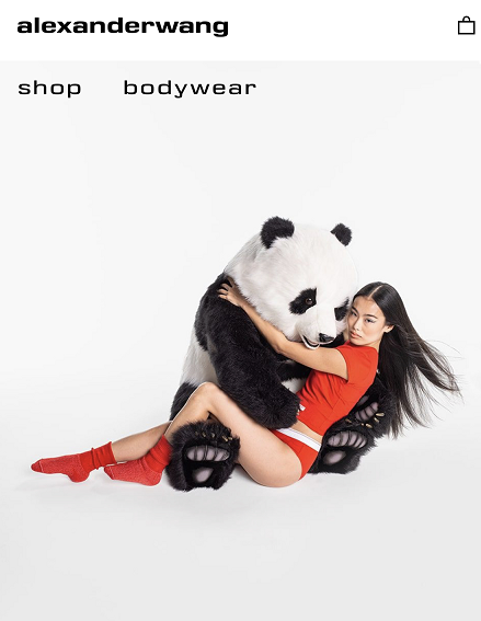 AlexanderWang kodovi za popust